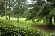 Featured Virtual Tour