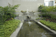 Featured Virtual Tour