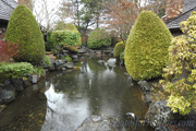 Featured Virtual Tour