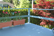 Featured Virtual Tour